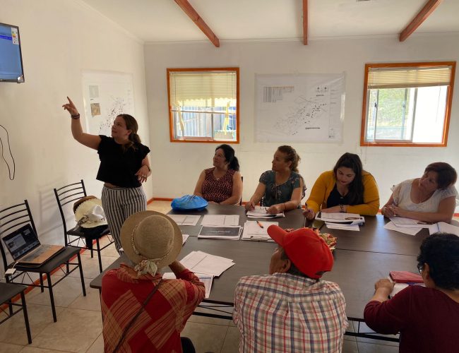 El impacto inesperado de los consultores con enfoque de sostenibilidad en tu negocio en Argentina